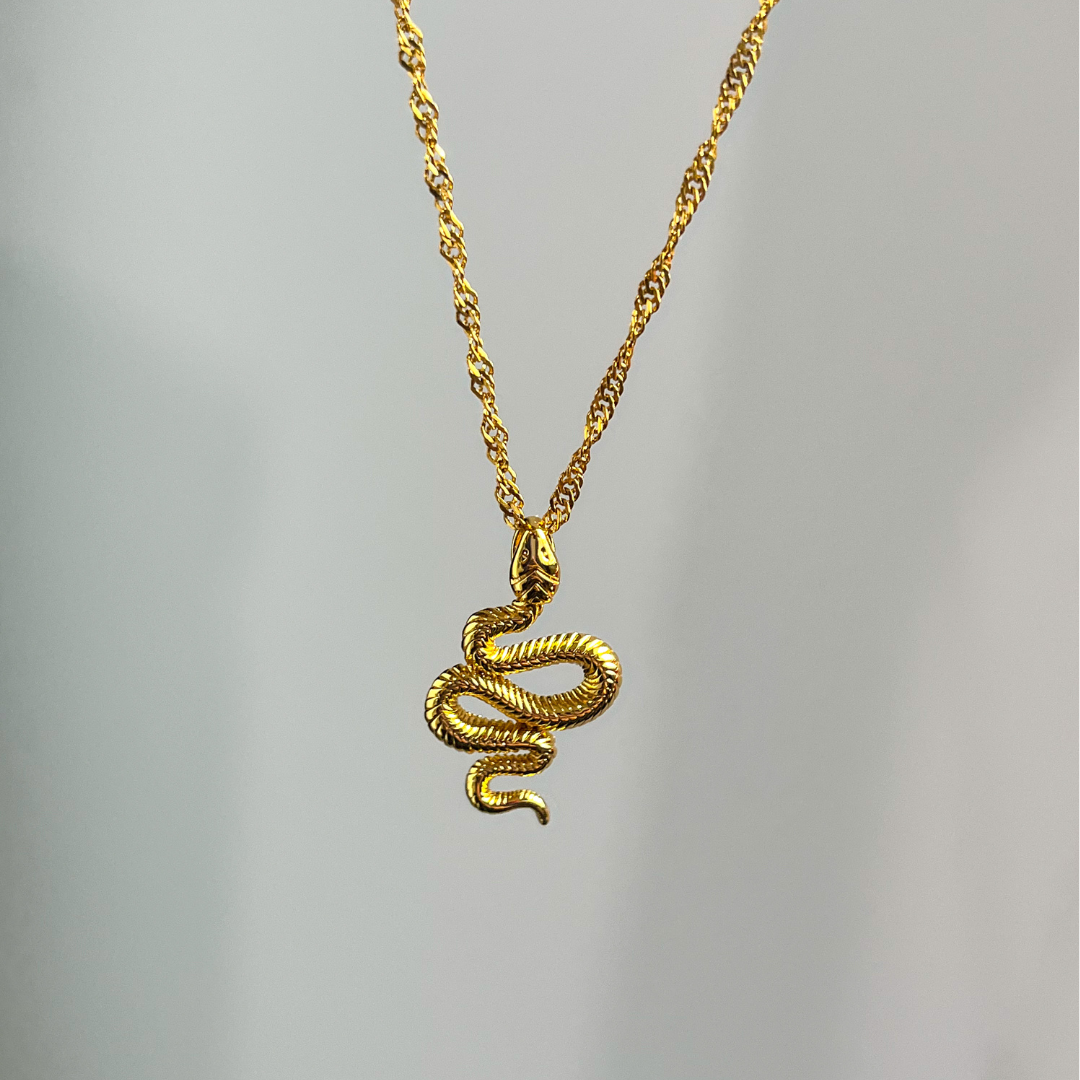 Snake Charm Necklace