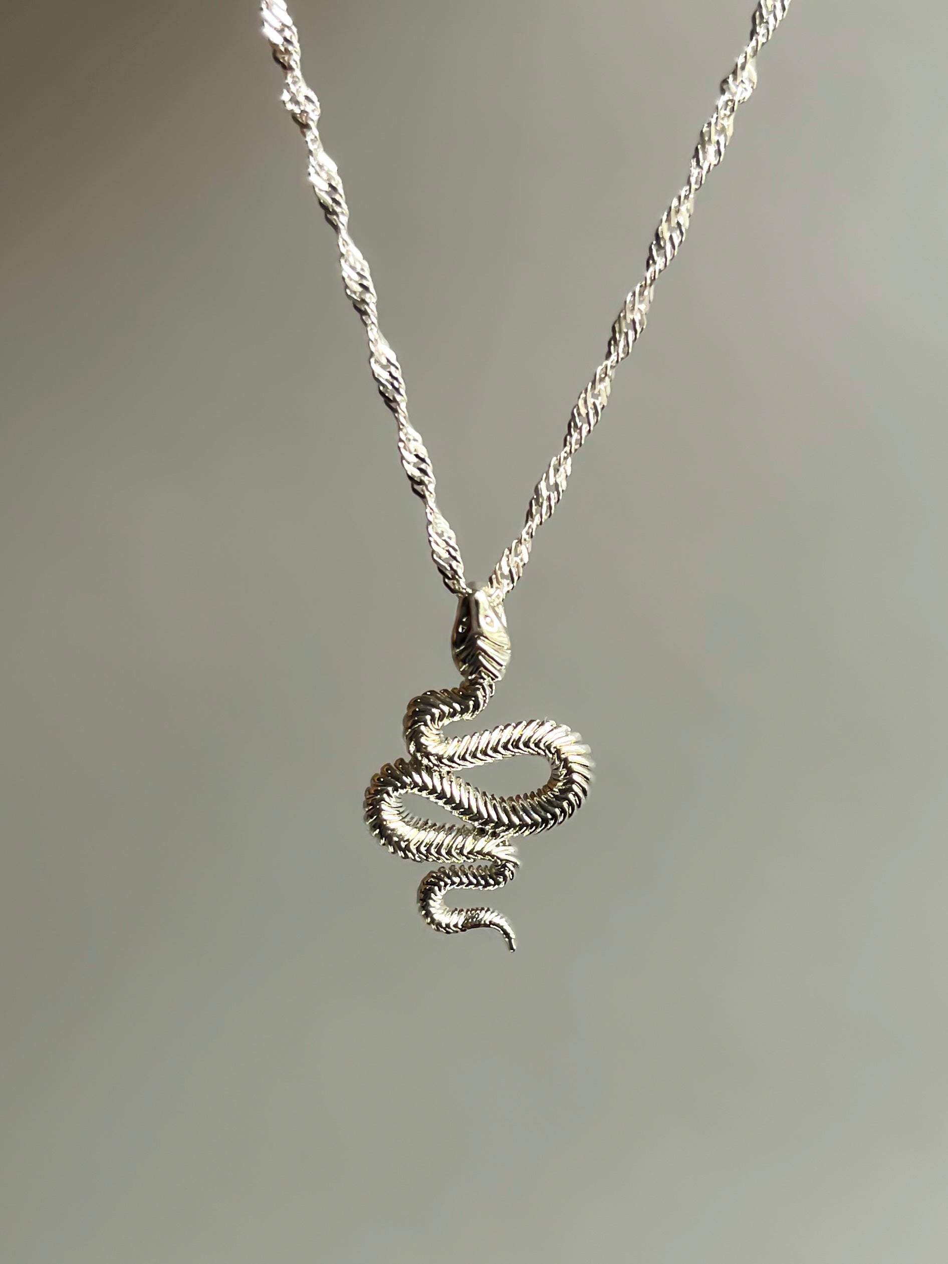 Snake Charm Necklace